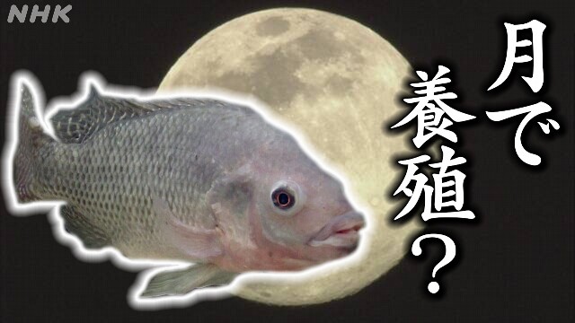  “I want to eat sashimi while looking at the earth ” Challenge to "moon farming" 